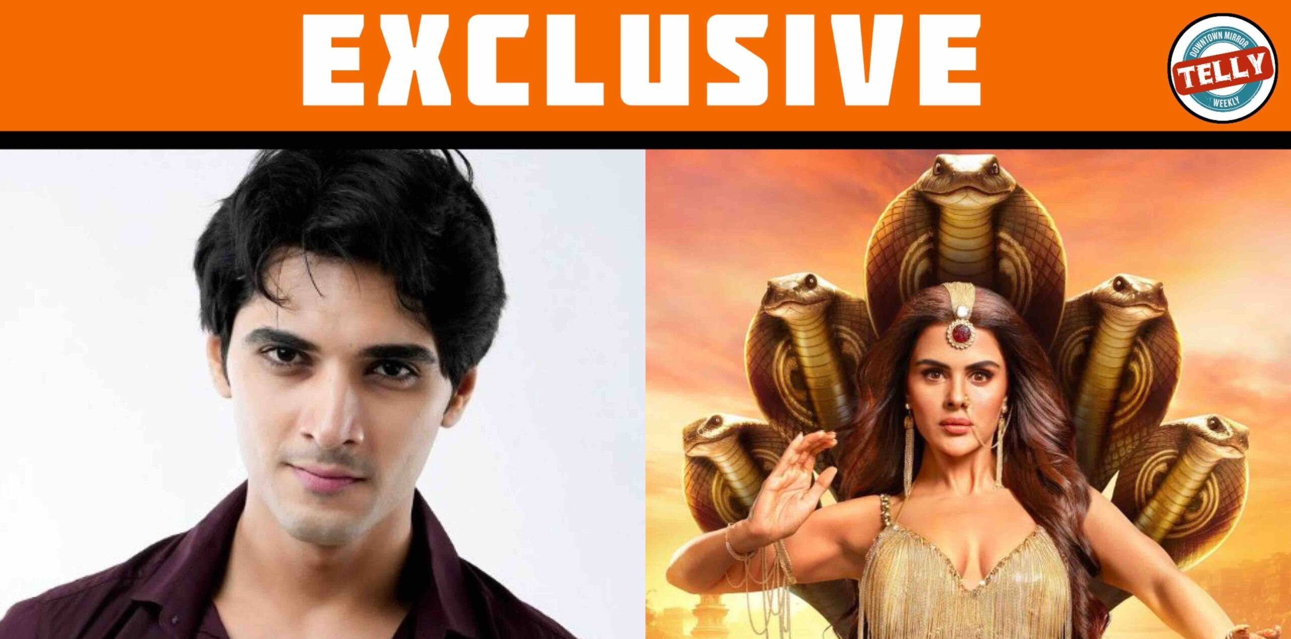 Mohit Duseja On Wrapping Naagin 7- “Value, Not Length, Is What I Signed Up For”